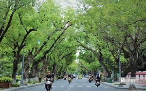 Ngắm m&ocirc; h&igrave;nh cổng Ngọ M&ocirc;n bằng tre độc đ&aacute;o giữa hệ đầm ph&aacute; lớn nhất Đ&ocirc;ng Nam &Aacute;- Ảnh 9.