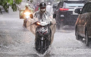 Hơn 20 c&aacute; heo đồng loạt xuất hiện tr&ecirc;n biển Đồ Sơn, người d&acirc;n chứng kiến cảnh tượng hiếm gặp- Ảnh 2.