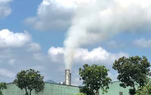 Li&ecirc;n tiếp 6 trận động đất ở Măng B&uacute;t (Quảng Ng&atilde;i) trong ng&agrave;y 11/5 - Ảnh 3.