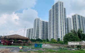 L&agrave;m cả thanh xu&acirc;n vẫn chưa tho&aacute;t cảnh ở trọ- Ảnh 7.