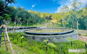Đặc sắc chương tr&igrave;nh nghệ thuật đặc biệt khai mạc Lễ hội L&agrave;ng Sen năm 2026- Ảnh 16.