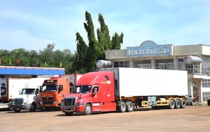 Sầu riêng tại vườn rớt giá, vì sao người tiêu dùng vẫn mua đắt? - Ảnh 6.