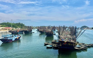 Kh&oacute;i trắng phủ khu d&acirc;n cư ở Quảng Ng&atilde;i, d&acirc;n kiến nghị quan trắc m&ocirc;i trường nh&agrave; m&aacute;y vi&ecirc;n n&eacute;n gỗ- Ảnh 10.