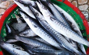 Lo&agrave;i c&aacute; &iacute;t thịt, nhiều xương nhưng nổi tiếng thơm ngon, gắn liền với k&yacute; ức tuổi thơ mỗi m&ugrave;a mưa về - Ảnh 7.