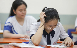 Đ&aacute;p &aacute;n m&ocirc;n tiếng Anh thi tốt nghiệp THPT 2026 m&atilde; đề 1113 nhanh nhất, đầy đủ nhất- Ảnh 3.