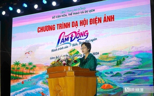 Khu neo đậu tr&aacute;nh tr&uacute; b&atilde;o Ph&uacute; Qu&yacute; ho&agrave;n th&agrave;nh, mở rộng kh&ocirc;ng gian ph&aacute;t triển kinh tế biển- Ảnh 13.
