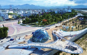 Ngư d&acirc;n Quảng Ng&atilde;i v&agrave;o m&ugrave;a săn "nh&acirc;n s&acirc;m biển" - Ảnh 16.