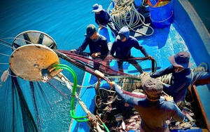 Một năm vận h&agrave;nh ch&iacute;nh quyền hai cấp: Sự chuyển m&igrave;nh mạnh mẽ ở x&atilde; v&ugrave;ng cao Quảng Ng&atilde;i - Ảnh 9.