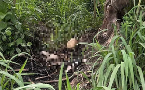 Bắt tạm giam người đ&agrave;n &ocirc;ng t&aacute;t đối phương ng&atilde; đập đầu dẫn đến tử vong - Ảnh 2.