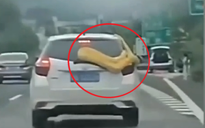 Ngước l&ecirc;n trần nh&agrave;, người d&acirc;n t&aacute; hỏa ph&aacute;t hiện cảnh tượng "nổi da g&agrave;" - Ảnh 2.
