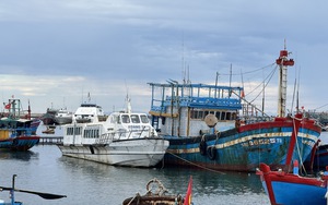 Chắt chiu nước ngọt tr&ecirc;n đảo B&eacute; ở Quảng Ng&atilde;i- Ảnh 6.