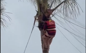 Dự b&aacute;o mới nhất: Th&aacute;ng 7 nguy cơ b&atilde;o đổ bộ, Bắc Bộ bước v&agrave;o cao điểm mưa lớn - Ảnh 3.