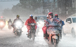 Th&oacute;t tim 2 mẹ con bị gi&oacute; cuốn, treo lơ lửng tr&ecirc;n ngọn dừa khi chơi d&ugrave; bay- Ảnh 1.