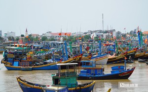 Quảng Ng&atilde;i: Khẩn cấp x&acirc;y k&egrave;, cứu bờ biển trước m&ugrave;a mưa b&atilde;o- Ảnh 9.