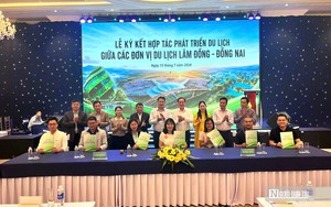 L&acirc;m Đồng dồn lực đưa Mũi N&eacute; trở th&agrave;nh trung t&acirc;m du lịch biển quốc gia- Ảnh 8.