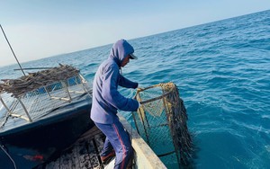 Kh&aacute;m ph&aacute; miệng n&uacute;i lửa cổ s&aacute;t m&eacute;p biển ở Quảng Ng&atilde;i- Ảnh 14.