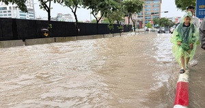 B&atilde;o số 1 &aacute;p s&aacute;t, Hải Ph&ograve;ng, Quảng Ninh khẩn cấp cấm biển, sẵn s&agrave;ng sơ t&aacute;n d&acirc;n - Ảnh 2.