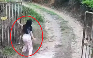 Đang đi dạo biển, người d&acirc;n bỗng thấy cảnh tượng "nổi da g&agrave;" liền bỏ chạy - Ảnh 2.