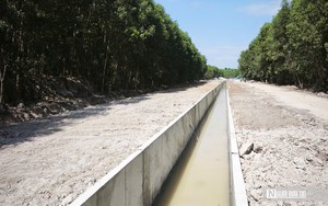 Kiểm tra c&ocirc;ng trường, Ph&oacute; Chủ tịch UBND tỉnh L&acirc;m Đồng y&ecirc;u cầu kh&ocirc;ng để chậm tiến độ- Ảnh 10.