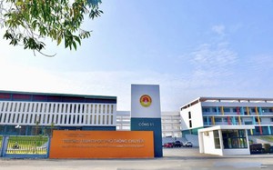 Đừng để con sợ l&agrave;m bố mẹ thất vọng - Ảnh 4.