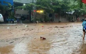 B&iacute; ẩn ng&ocirc;i l&agrave;ng hơn 2.000 d&acirc;n c&oacute; tới 33 cặp sinh đ&ocirc;i- Ảnh 4.