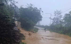 &Aacute;p thấp nhiệt đới h&igrave;nh th&agrave;nh tr&ecirc;n Biển Đ&ocirc;ng, 10 tỉnh, th&agrave;nh được y&ecirc;u cầu khẩn trương ứng ph&oacute; - Ảnh 2.