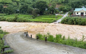 Sạt lở hơn 300.000m3 đất đ&aacute;, v&ugrave;i lấp tuyến đường v&ugrave;ng bi&ecirc;n- Ảnh 8.