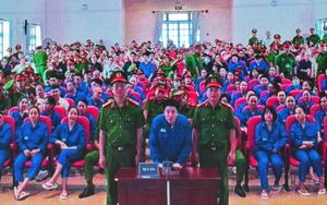 &ldquo;Nữ qu&aacute;i&rdquo; vẽ loạt dự &aacute;n si&ecirc;u lợi nhuận, chiếm đoạt gần 19 tỷ đồng- Ảnh 2.
