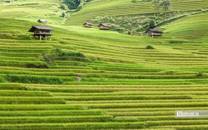 Xưởng nhựa ở H&agrave; Nội bất ngờ bốc ch&aacute;y, kh&oacute;i đen bốc cao h&agrave;ng chục m&eacute;t - Ảnh 5.