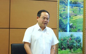 Quảng Ninh: Tung &ldquo;chiến dịch&rdquo; k&iacute;ch cầu du lịch ch&agrave;o mừng th&agrave;nh phố Quảng Ninh - Ảnh 4.