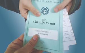 Quy định mới về kinh doanh h&agrave;ng miễn thuế, ai cũng n&ecirc;n biết- Ảnh 4.