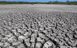 Siêu El Nino 