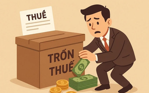Tạm giam thanh ni&ecirc;n mua giấy ph&eacute;p l&aacute;i xe giả b&aacute;n kiếm lời h&agrave;ng triệu đồng- Ảnh 3.
