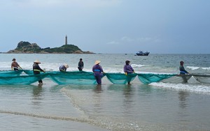 Cận cảnh tuyến đường du lịch ven biển L&acirc;m Đồng bị &ldquo;x&eacute; toạc&rdquo; bởi d&ograve;ng c&aacute;t đỏ - Ảnh 15.