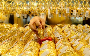 L&atilde;nh đạo Bộ C&ocirc;ng an đề nghị mở rộng điều tra vụ &aacute;n  Huấn "Hoa Hồng", Ph&uacute; L&ecirc;, Hải Sapa TV- Ảnh 3.