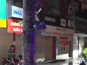 Phát hiện thi thể trẻ sơ sinh trong túi bóng đen treo trên thân cây