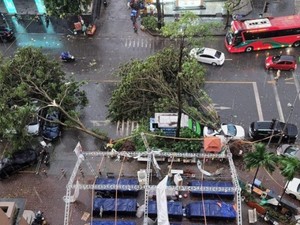 Hà Nội: Nhiều cây xanh bật gốc đổ, đè trúng hàng loạt ô tô