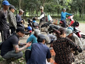 “Lộc trời” tiền triệu xuất hiện mỗi năm một lần, dân rủ nhau đi hái về bán