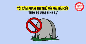 Án Tây-Luật Ta: Cú lừa ngoạn mục của 2 “bà nội trợ” Mỹ