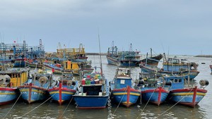 Bến cá Phan Thiết đìu hiu, hàng trăm tàu cá dè dặt ra khơi vì nhiên liệu tăng giá- Ảnh 6.