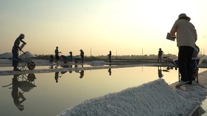 Theo ch&acirc;n di&ecirc;m d&acirc;n &ldquo;nu&ocirc;i&rdquo; muối giữa nắng, gi&oacute; v&agrave; mồ h&ocirc;i- Ảnh 22.