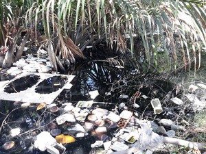 Mắc kẹt trong d&ograve;ng "nước đen": Người d&acirc;n khu T&acirc;y TP.HCM m&ograve;n mỏi chờ giải ph&aacute;p gốc- Ảnh 6.
