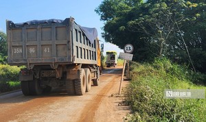 Bình Định: Lạ lùng đoàn xe chở đất ngang nhiên vượt cầu cấm tải 13 tấn