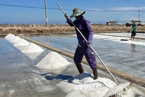 Theo ch&acirc;n di&ecirc;m d&acirc;n &ldquo;nu&ocirc;i&rdquo; muối giữa nắng, gi&oacute; v&agrave; mồ h&ocirc;i- Ảnh 23.