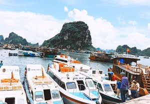 Bến cá Phan Thiết đìu hiu, hàng trăm tàu cá dè dặt ra khơi vì nhiên liệu tăng giá- Ảnh 7.