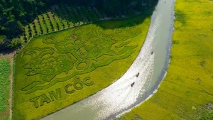 Điểm dừng ch&acirc;n mới cho h&agrave;nh tr&igrave;nh v&atilde;n cảnh - Ảnh 5.