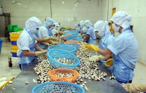 Du kh&aacute;ch lấm lem b&ugrave;n đất, th&iacute;ch th&uacute; trải nghiệm c&agrave;o ngh&ecirc;u - Ảnh 13.