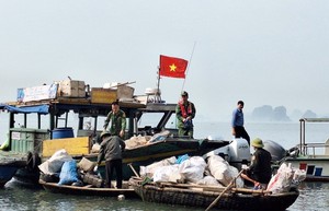 Quảng Ninh: Thu gom, xử lý hơn 1.500 m3 rác thải tại vịnh Hạ Long