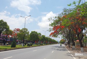 H&agrave;ng trăm c&acirc;y phượng nở đỏ rực, biến tuyến đường qu&ecirc; th&agrave;nh điểm check-in h&uacute;t kh&aacute;ch - Ảnh 11.