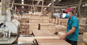 Xuất khẩu gỗ tăng trưởng tích cực, kỳ vọng vượt mục tiêu- Ảnh 2.